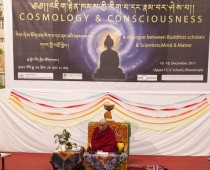 Cosmology & Consciousness I (2011)