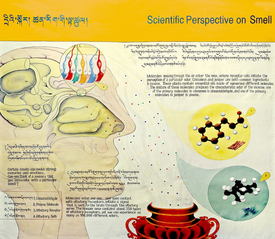 SmellPanelScience_medium